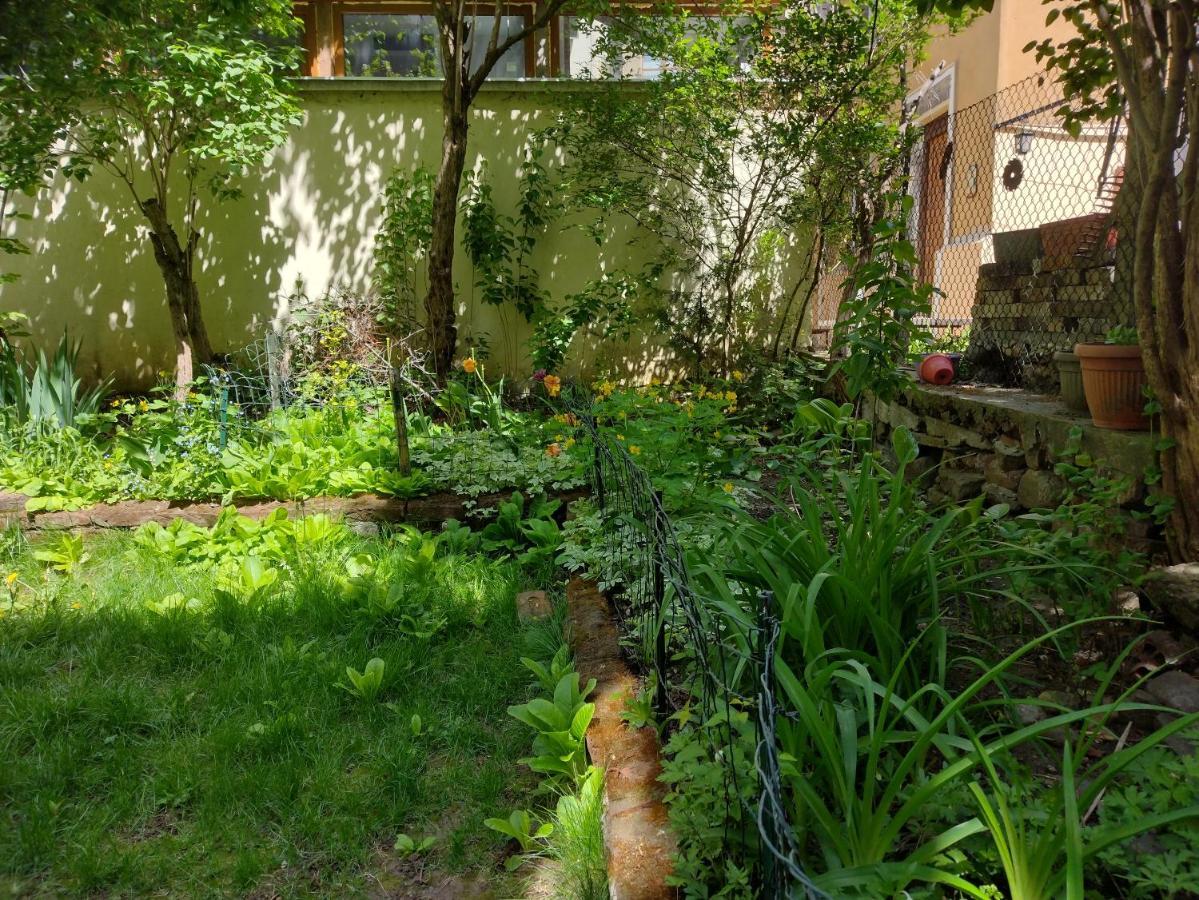 Charming Central Home With Garden Near Parking And Ndk Sófia Exterior foto